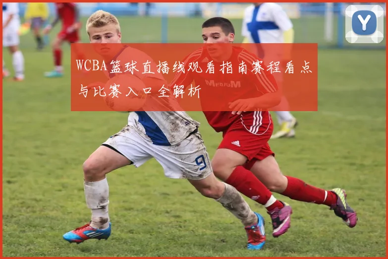 WCBA篮球直播线观看指南赛程看点与比赛入口全解析